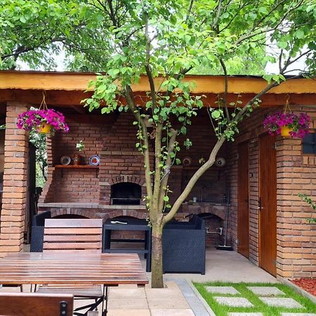 הוילה קלוז'-נאפוקה Cozy House With Nice Garden In Heart Of City Center מראה חיצוני תמונה