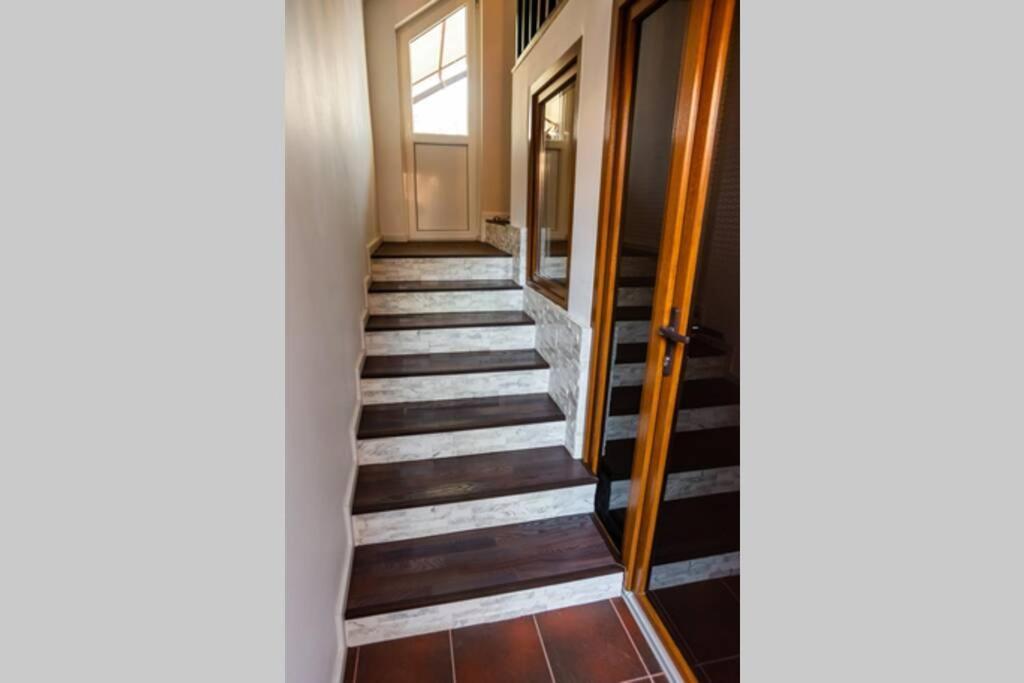 הוילה קלוז'-נאפוקה Cozy House With Nice Garden In Heart Of City Center מראה חיצוני תמונה