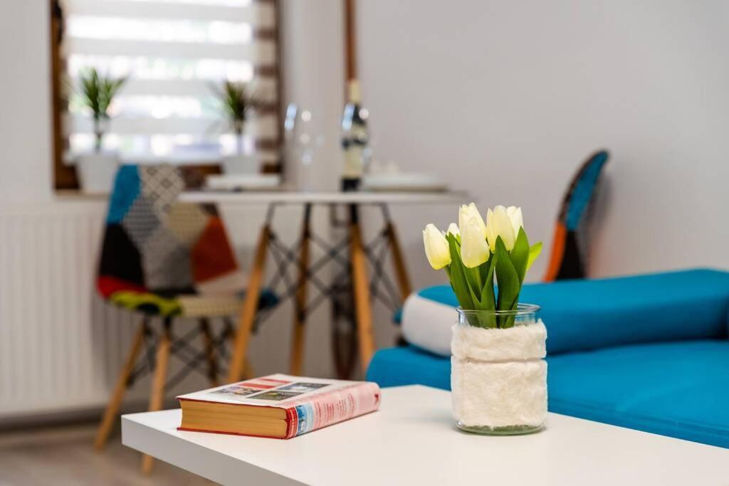 הוילה קלוז'-נאפוקה Cozy House With Nice Garden In Heart Of City Center מראה חיצוני תמונה