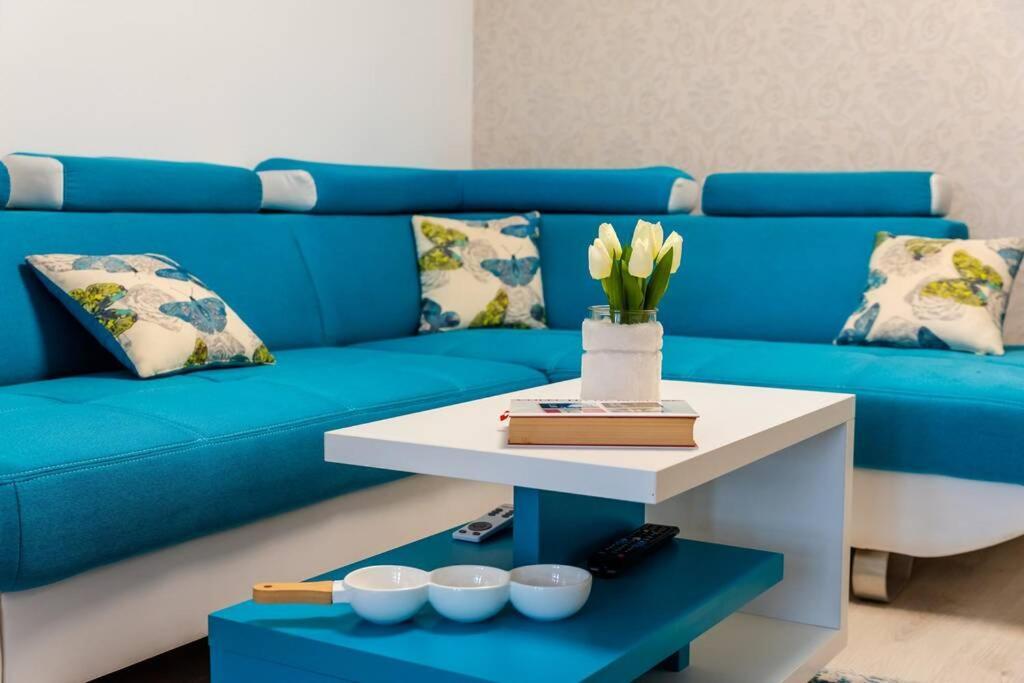 הוילה קלוז'-נאפוקה Cozy House With Nice Garden In Heart Of City Center מראה חיצוני תמונה
