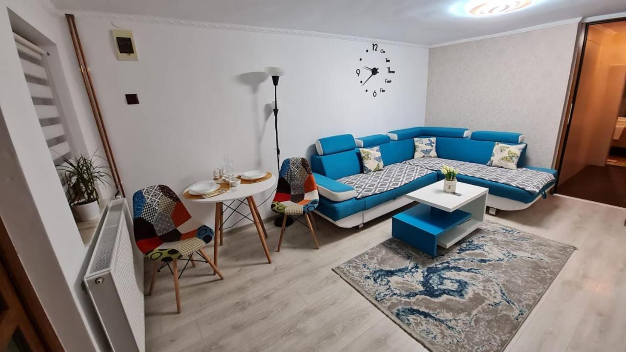 הוילה קלוז'-נאפוקה Cozy House With Nice Garden In Heart Of City Center מראה חיצוני תמונה